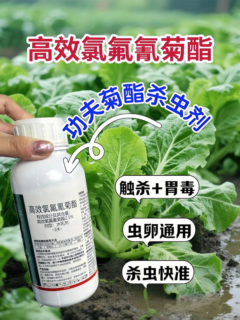 普洱代生中心:农药对供卵代生妈妈的危害